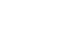 lallemand-io-consulting